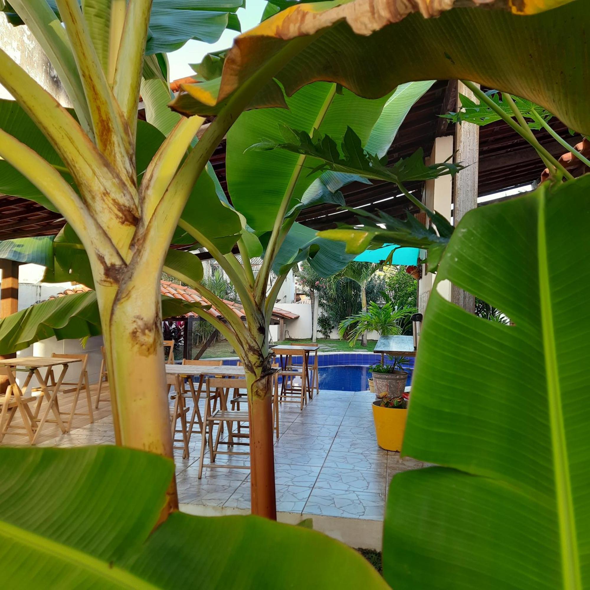 Villa Tropicale ซัลวาดอร์ ภายนอก รูปภาพ